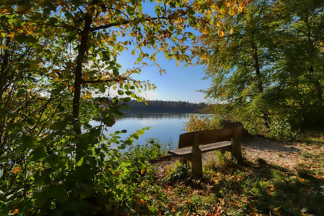 两人顺利解 两人顺利解