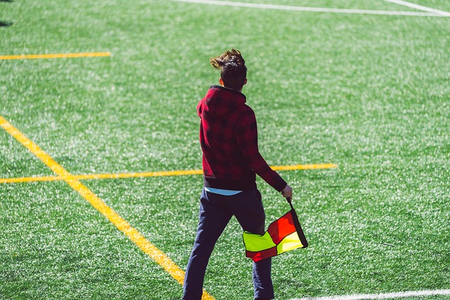 这不仅可以 这不仅可以