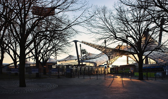 独行侠后场新星转正悬念, 赛季最后一战决胜负, 未来命运一线牵.